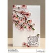 CHERRY BLOSSOM BRANCH (INCLUDES 2 SENTIMENTS)